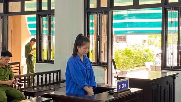 9 năm tù dành cho chủ sạp trái cây từng lừa chiếm hơn 3,2 tỷ đồng