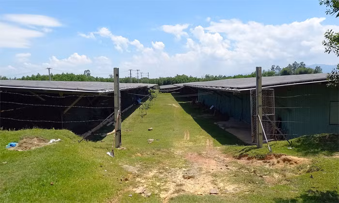 Đăng ký dự án trồng rau sạch nhưng làm… điện mặt trời áp mái -0