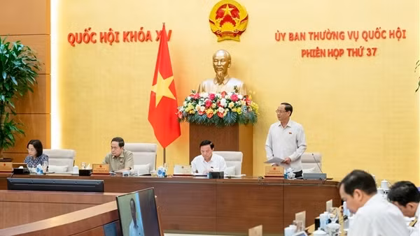 Tăng cường giám sát thị trường bất động sản và phát triển nhà ở xã hội