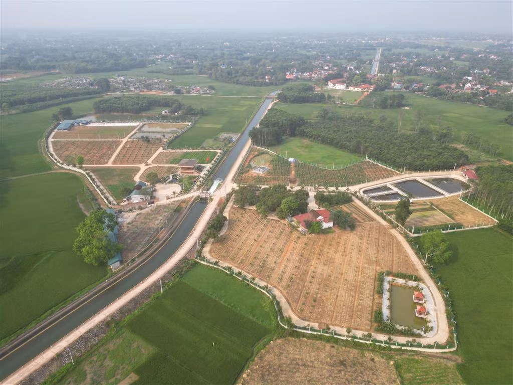Khu sinh thái trái phép “mọc” trên đất nông nghiệp -0