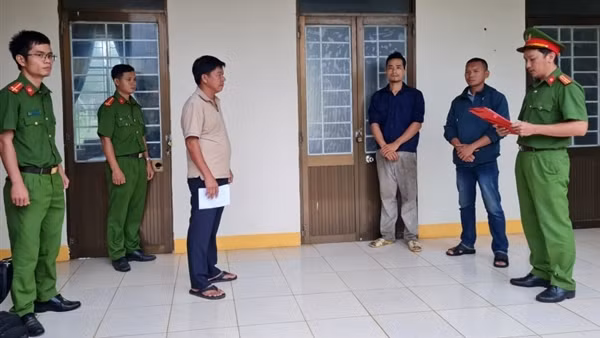 Thuê người phá rừng lấy đất trồng keo, lĩnh án tù
