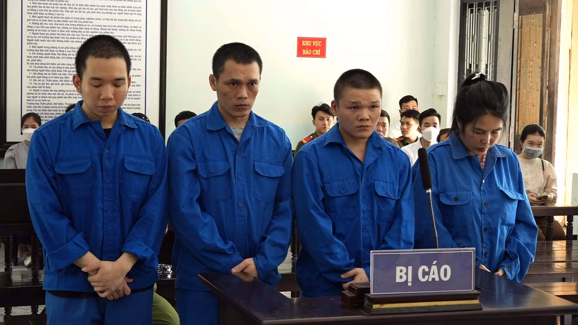 Mua bán ma túy, cả chủ và người làm thuê lãnh 46 năm tù -0