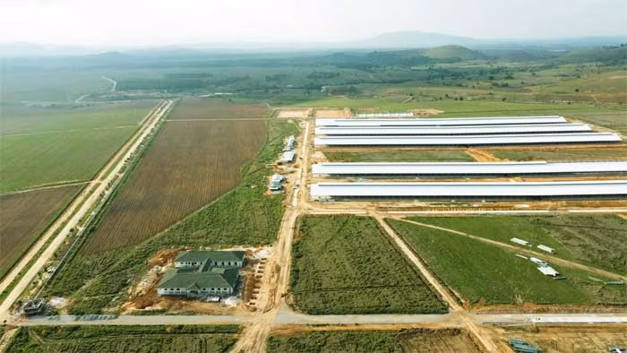 Ngành sữa tiến ra sân chơi thế giới, tận dụng tối đa cơ hội và lợi thế -0