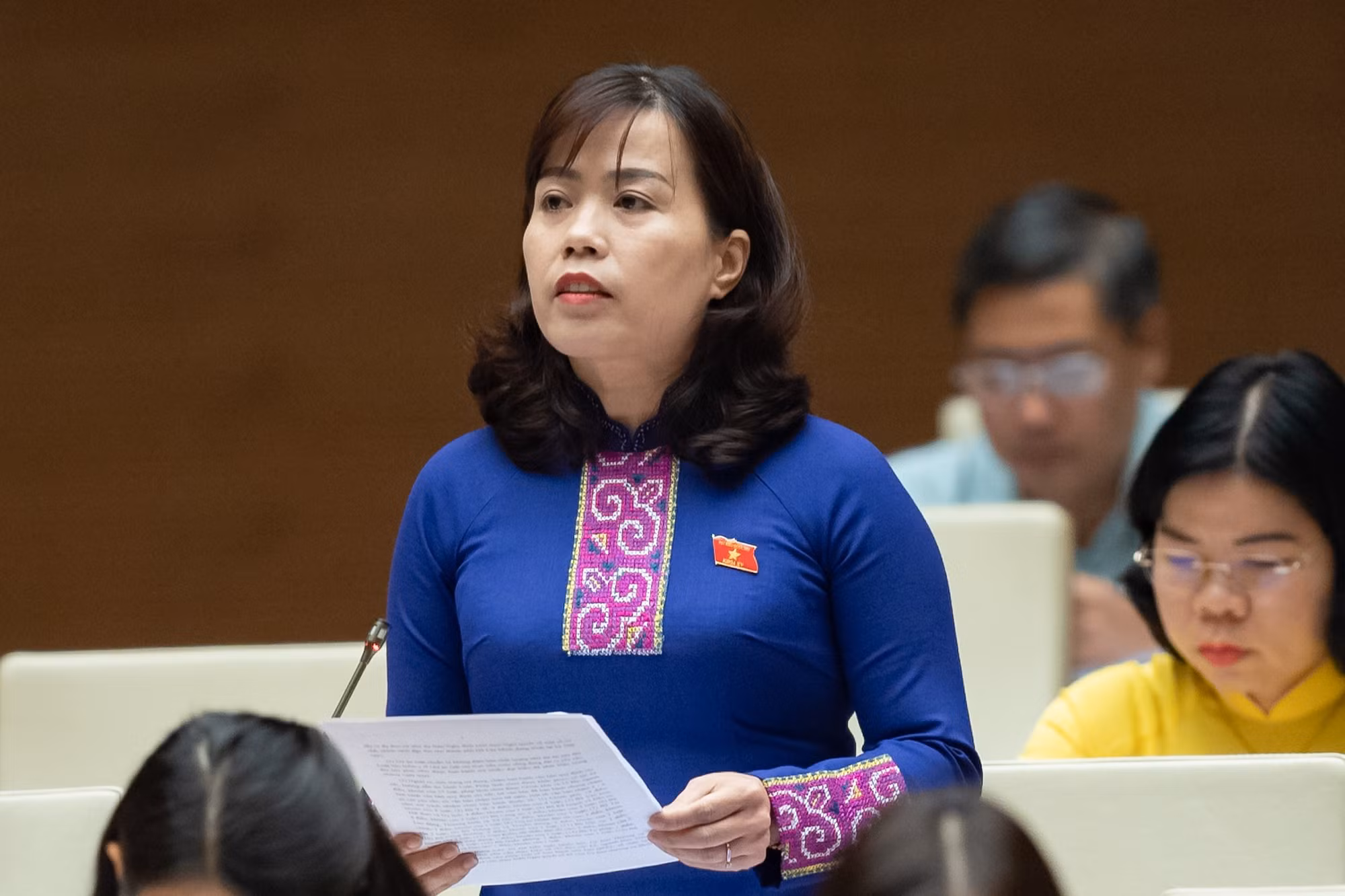 ĐBQH Lý Thị Lan.