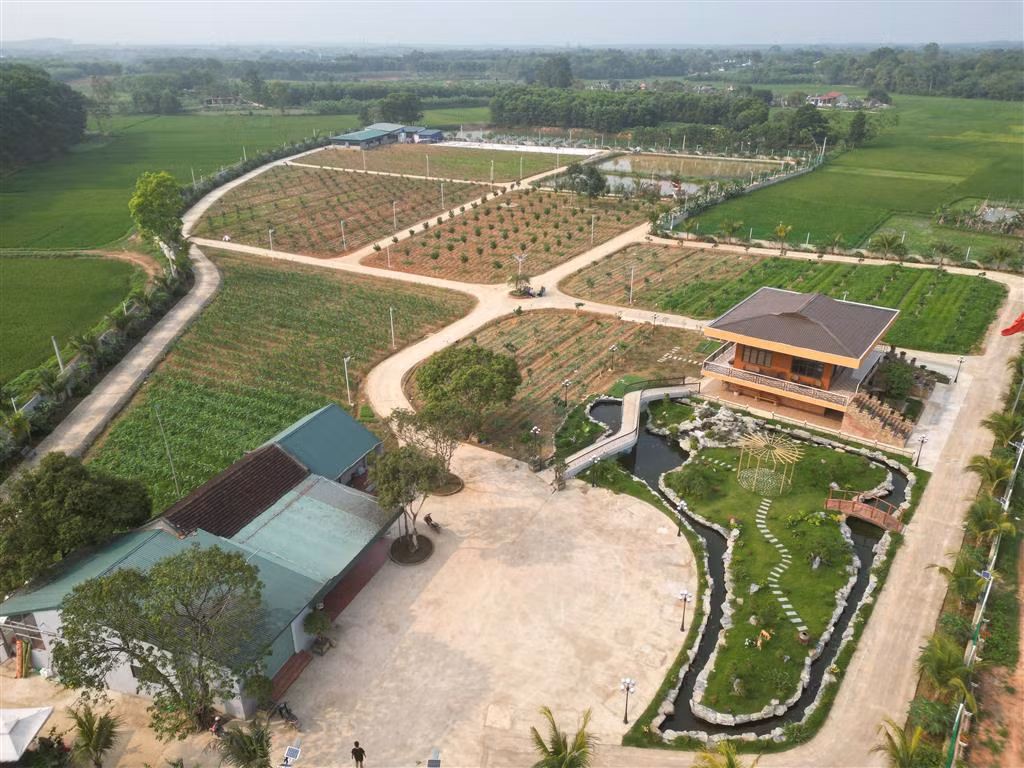 Khu sinh thái trái phép “mọc” trên đất nông nghiệp -0