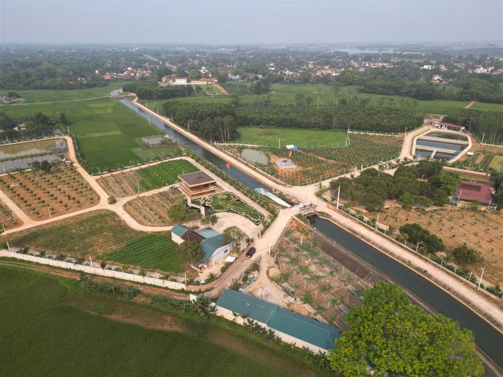 Khu sinh thái trái phép “mọc” trên đất nông nghiệp -0