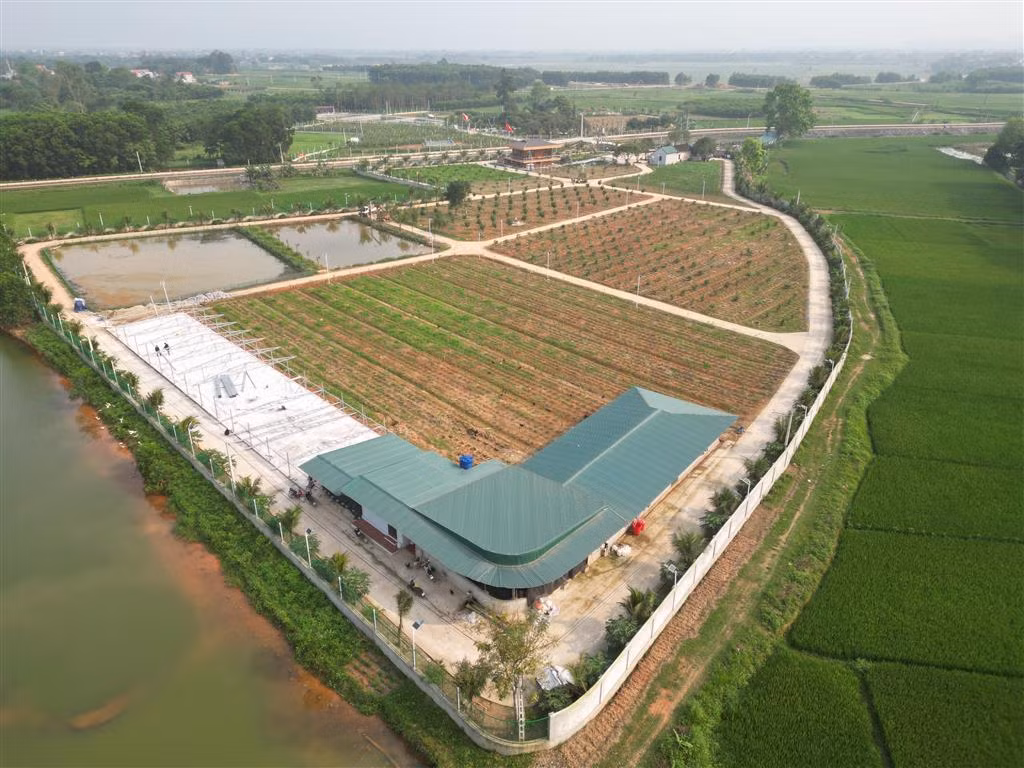 Khu sinh thái trái phép “mọc” trên đất nông nghiệp -0