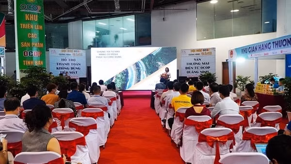 Đẩy mạnh hỗ trợ doanh nghiệp ứng dụng thương mại điện tử ảnh 2