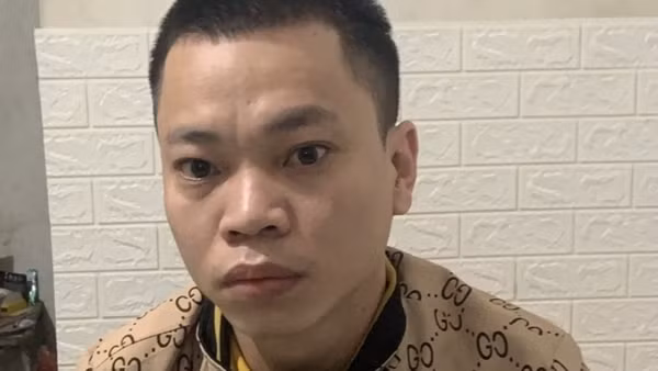 Mượn xe bạn, thay biển số giả gây ra hàng loạt vụ cướp giật ảnh 3