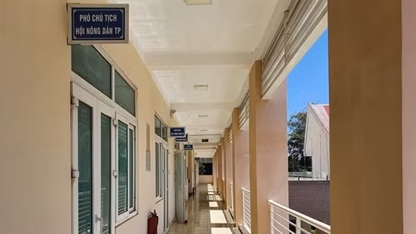 Cách chức Phó Chủ tịch Hội Nông dân “rút ruột” tiền hỗ trợ nông dân ảnh 3