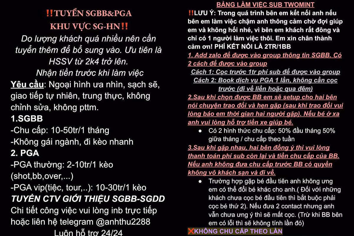 Tú bà 22 tuổi và đường dây “Sugar Baby” -1