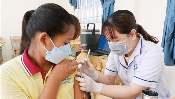 Sanofi sẽ cung ứng vaccine chất lượng cao cho người dân Việt Nam ảnh 3