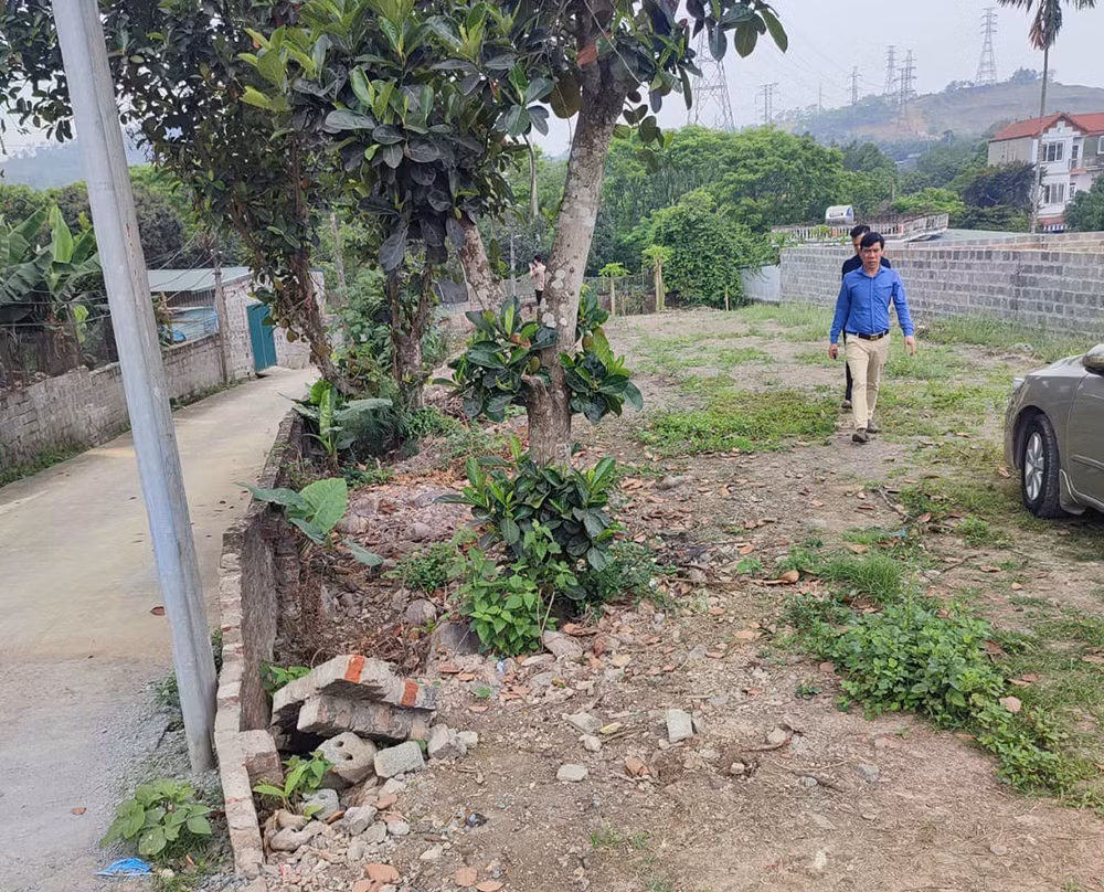 Ngậm trái đắng vì ôm đất nông nghiệp -1