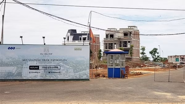 Số phận của hàng nghìn cây thông tại Dự án sân golf Đăk Đoa giờ ra sao? ảnh 5