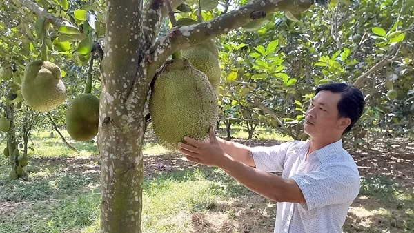 Nhiều cơ hội quảng bá du lịch Việt Nam ra thế giới ảnh 3