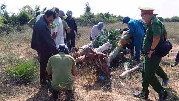 Trả thù, đâm trọng thương nhân viên bảo vệ rừng ảnh 4
