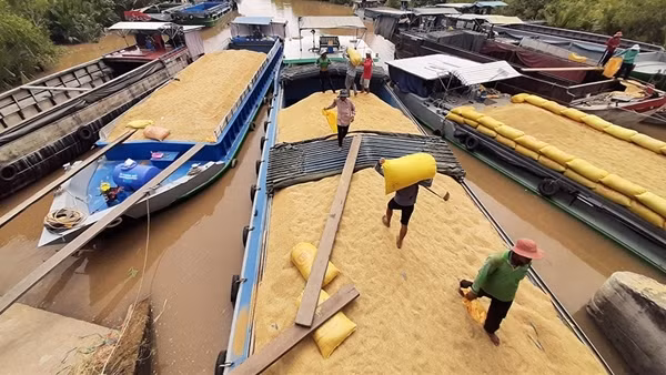 Kinh tế vùng châu thổ Cửu Long tăng trưởng mạnh ảnh 3