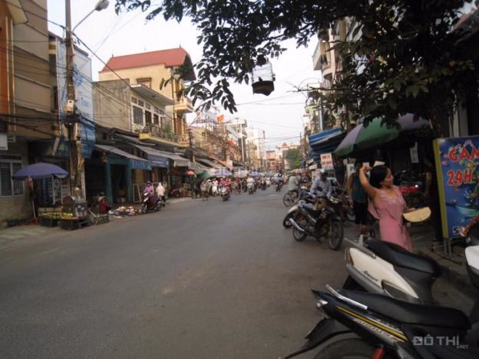 Truy tìm con trăn xổng chuồng giữa phố -0