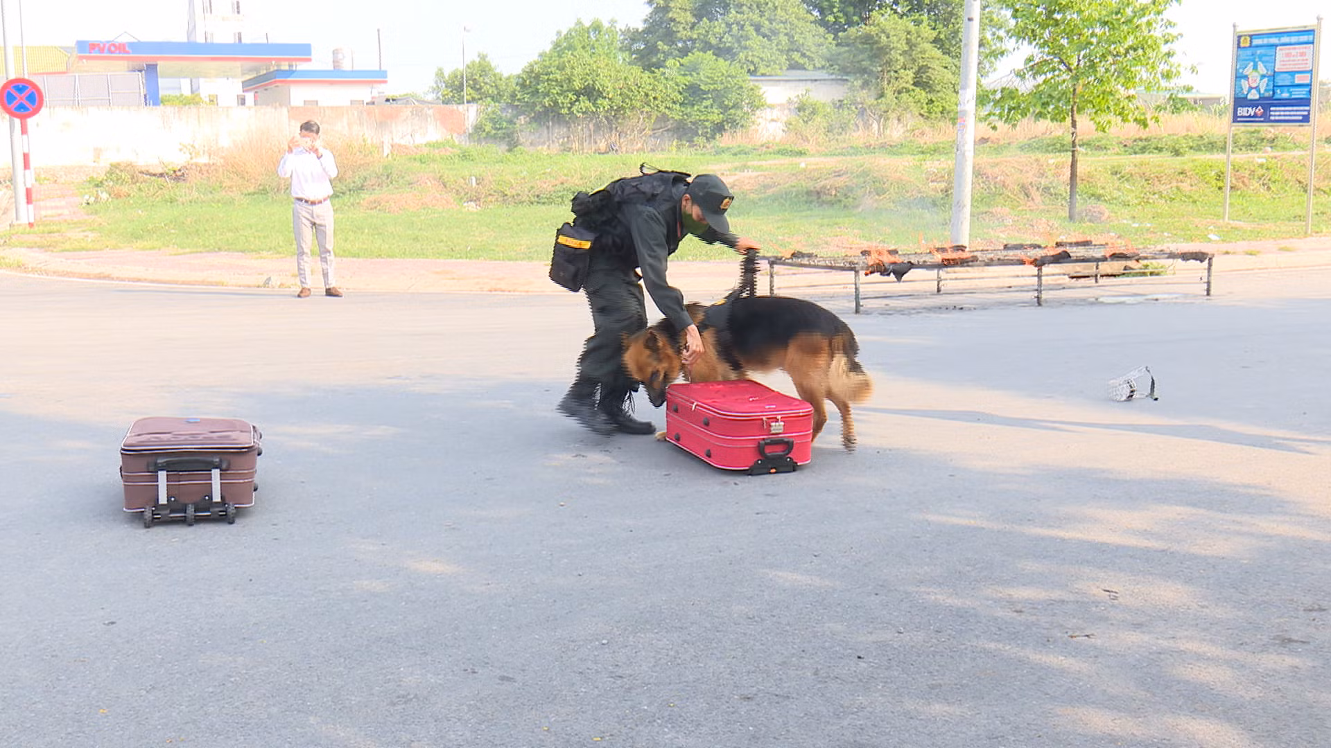 Sử dụng cảnh khuyển tuần tra kiểm soát, tấn công trấn áp tội phạm -0