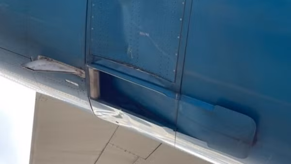 Hàng không "đau đầu" tìm giải pháp ngăn sự cố va chạm giữa chim và máy bay ảnh 2