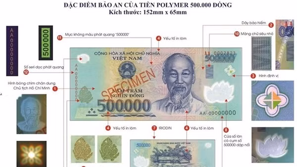 Nghiêm cấm sản xuất, tàng trữ, vận chuyển, mua bán và lưu hành tiền giả ảnh 2