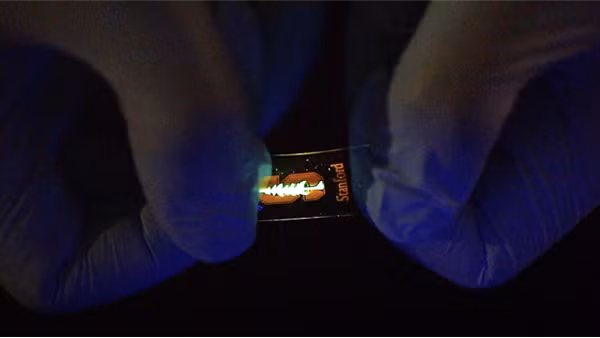 Màn hình LED co giãn như cao su