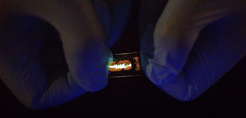 Màn hình LED co giãn như cao su -0