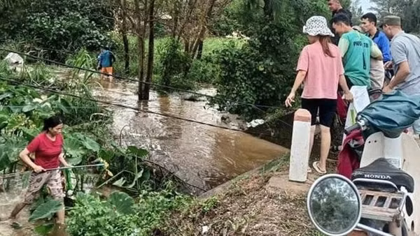 Mưa lũ cuốn trôi 32 tấn cá lóc của người dân