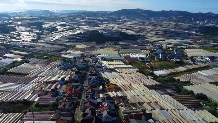 Năm 2030, Đà Lạt phải dỡ bỏ hết nhà kính, nhà lưới -0