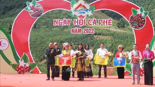 Nâng tầm thương hiệu cà phê Sơn La