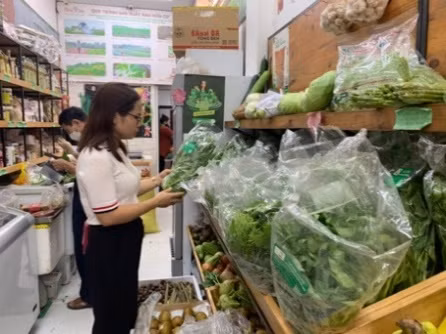 Nhộm nhoạm thị trường rau an toàn: Vẫn loay hoay tìm lời giải (Bài cuối) -0