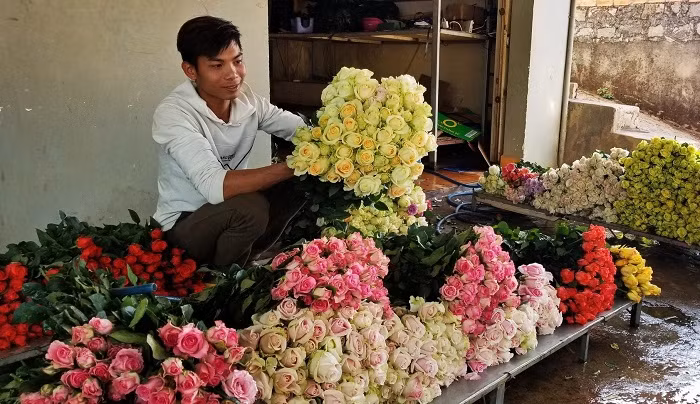 Hoa Đà Lạt tăng giá mạnh trước lễ 20/10 -0