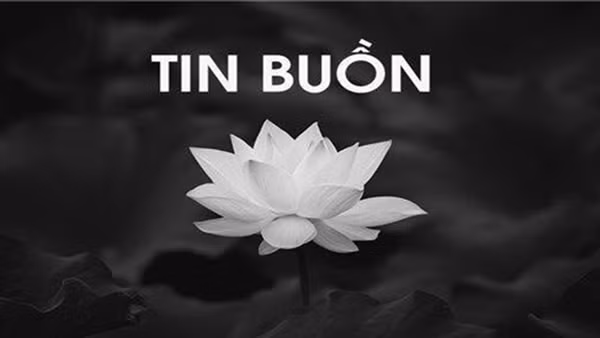 Đại tá Trần Đào từ trần