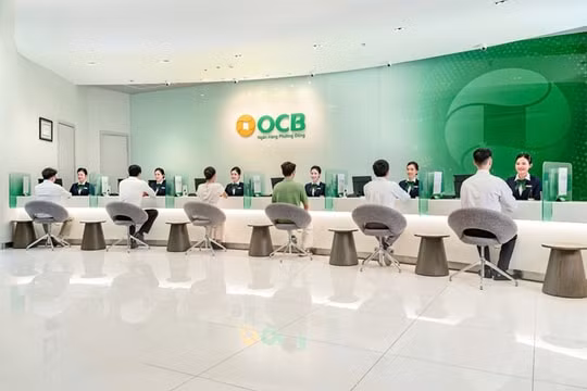OCB phát triển bền vững với nền tảng quản trị rủi ro hiệu quả -0