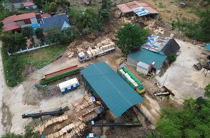 Hàng loạt cơ sở thu mua, chế biến gỗ trái phép tái diễn hoạt động -0