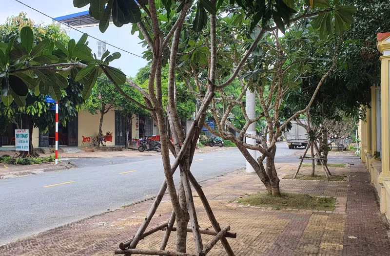 Cơ quan ANĐT Bộ Công an đề nghị Bạc Liêu cung cấp toàn bộ hồ sơ dự án cây xanh, chỉnh trang đô thị trên địa bàn tỉnh -0