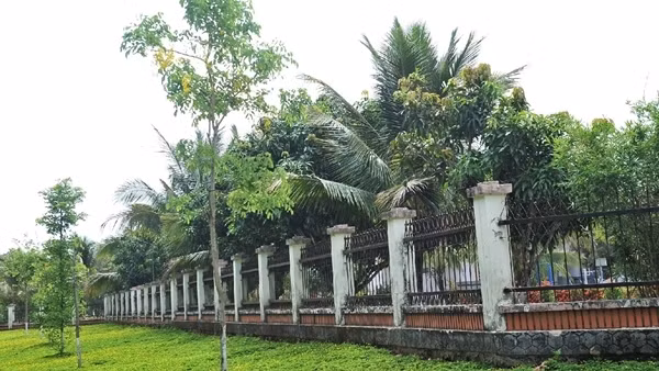 Bộ Công an yêu cầu Đắk Lắk cung cấp thêm hồ sơ các dự án trồng cây xanh của Công ty Công Minh