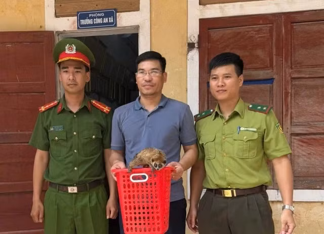 Thả động vật quý hiếm về Vườn Quốc gia Phong Nha - Kẻ Bàng -0