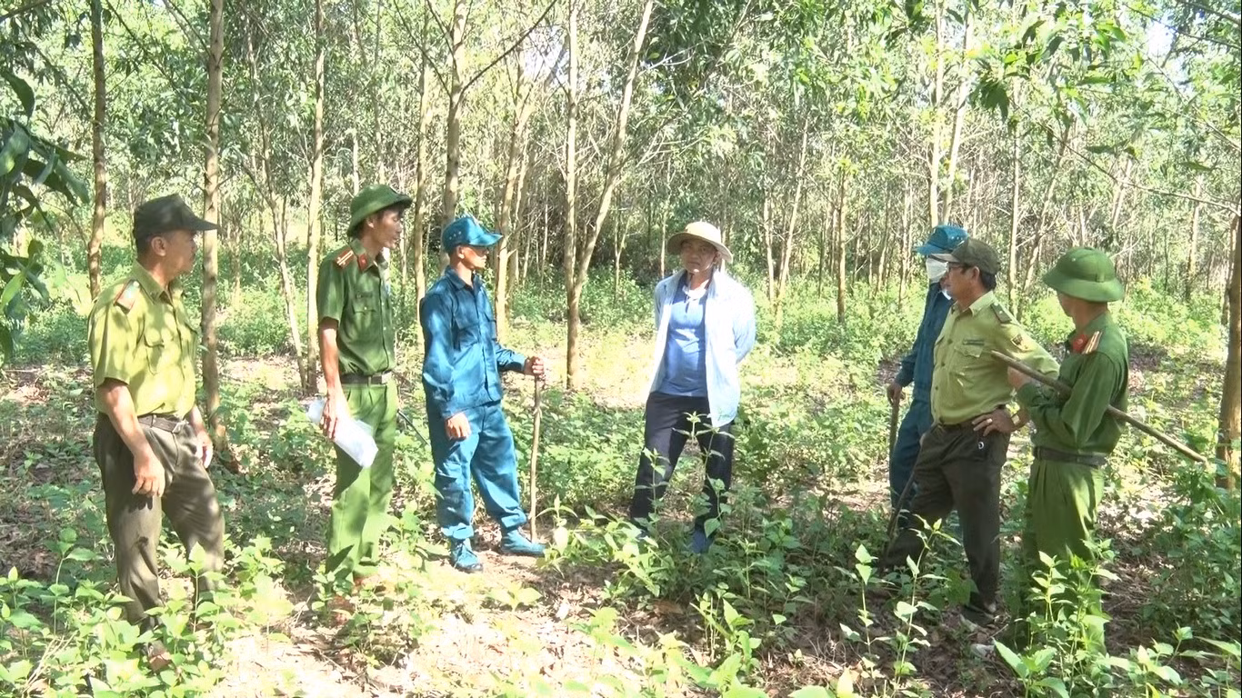 Nỗ lực bảo vệ “lá phổi xanh” phía Tây Bắc Phú Yên -0