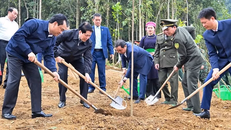 Chủ tịch nước Lương Cường dự và phát động “Tết trồng cây đời đời nhớ ơn Bác Hồ xuân Bính Ngọ năm 2026” tại tỉnh Lào Cai -1