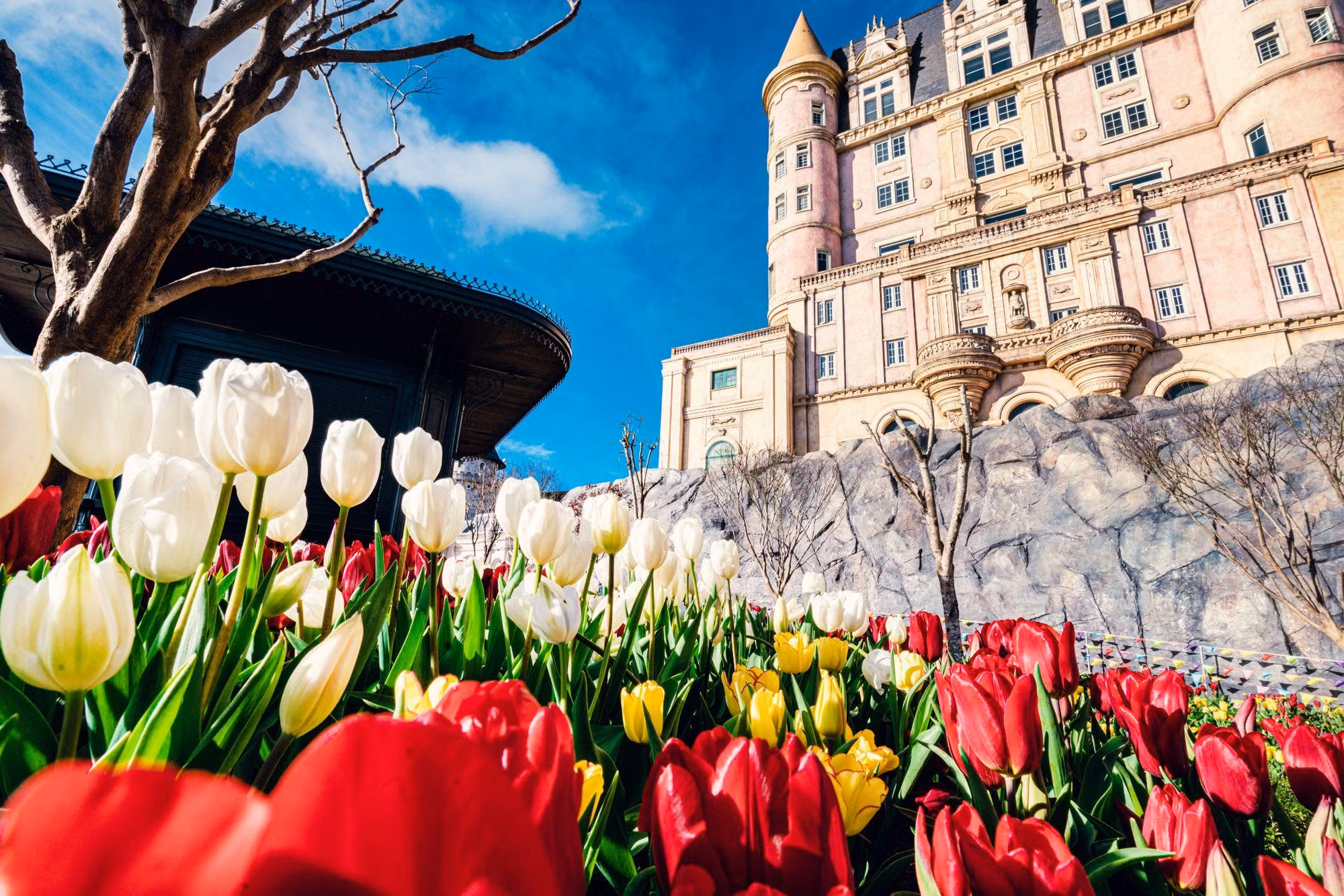 Hàng nghìn du khách đón Tết Bính Ngọ cùng hơn triệu bông tulip tại Sun World Ba Na Hills -0