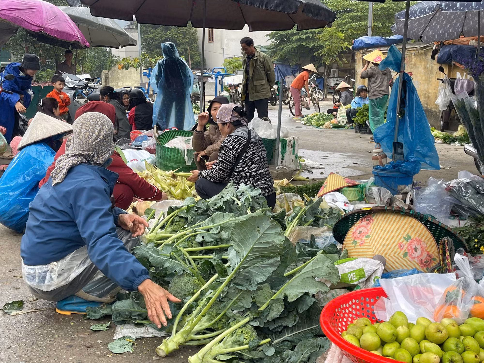 Hàng hoá Mùng 6 Tết dồi dào, giá cả ổn định -0
