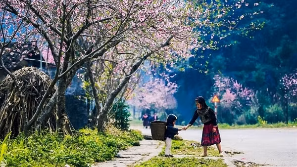 Miền Bắc trưa chiều nắng ấm, rét về đêm