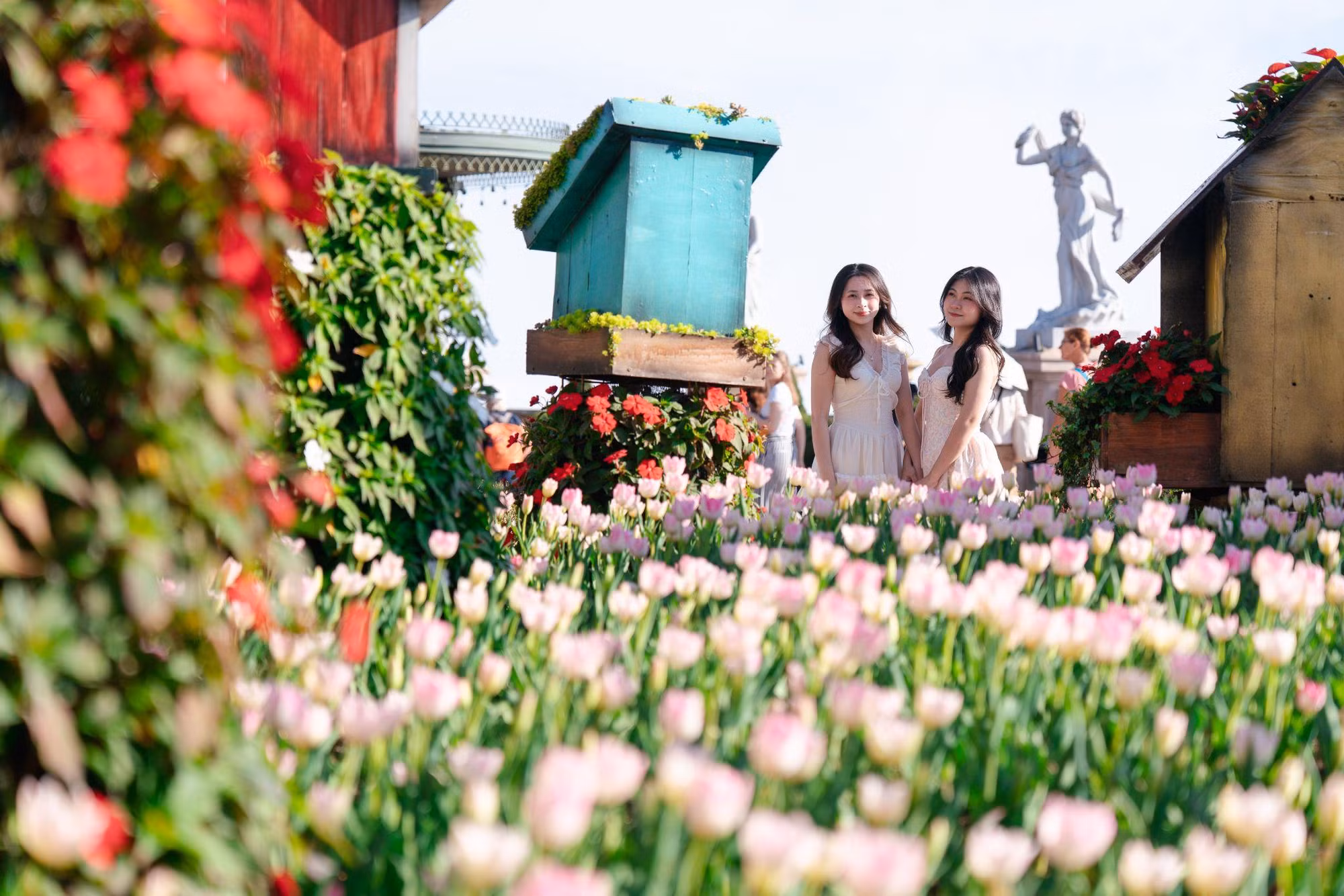 Hàng nghìn du khách đón Tết Bính Ngọ cùng hơn triệu bông tulip tại Sun World Ba Na Hills -0