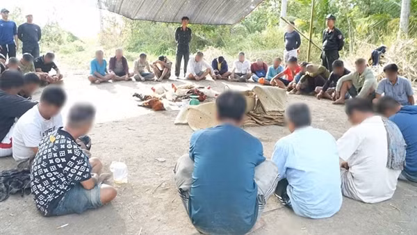 Quyết liệt đấu tranh mạnh với tội phạm cờ bạc trong dịp Tết Nguyên đán