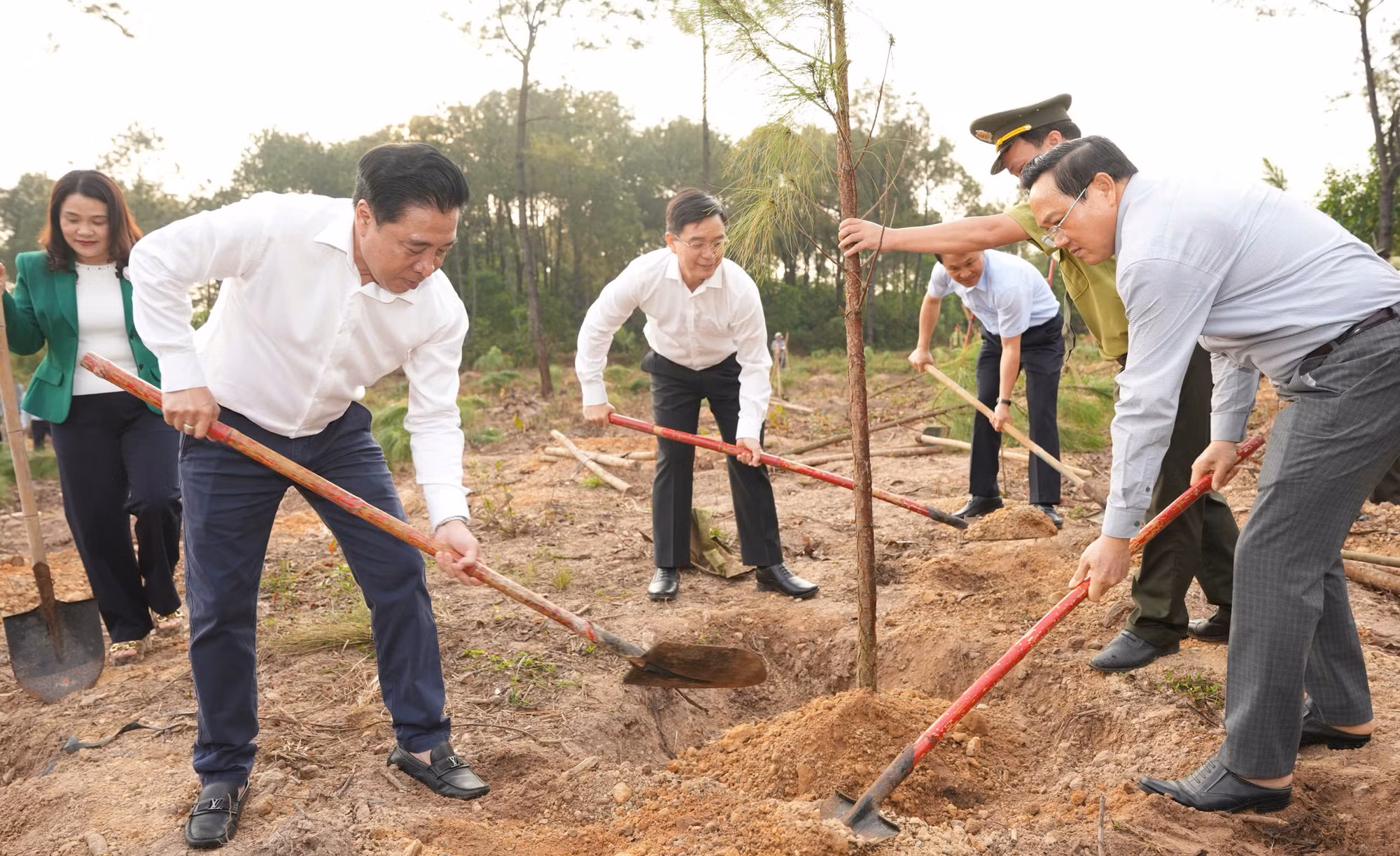 TP Huế phát động “Tết trồng cây đời đời nhớ ơn Bác Hồ” -0