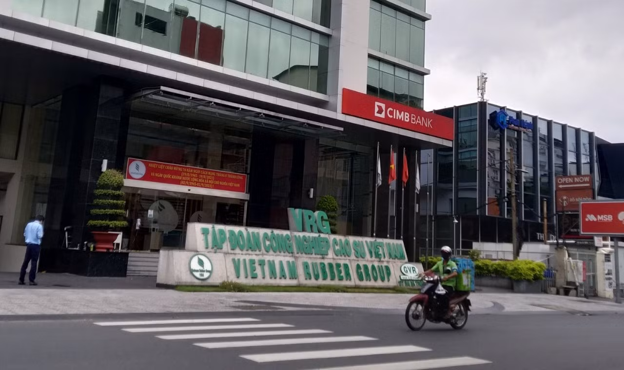 Thanh tra Chính phủ chỉ ra nhiều vi phạm tại Tập đoàn Công nghiệp Cao su Việt Nam -0