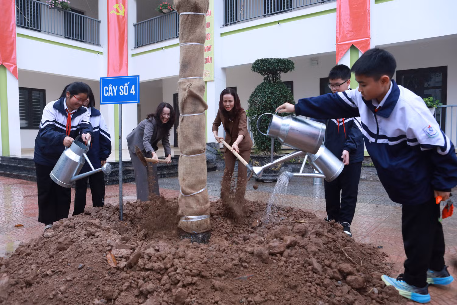 Ngành Giáo dục Hà Nội phấn đấu trồng mới 15.000 cây xanh -0