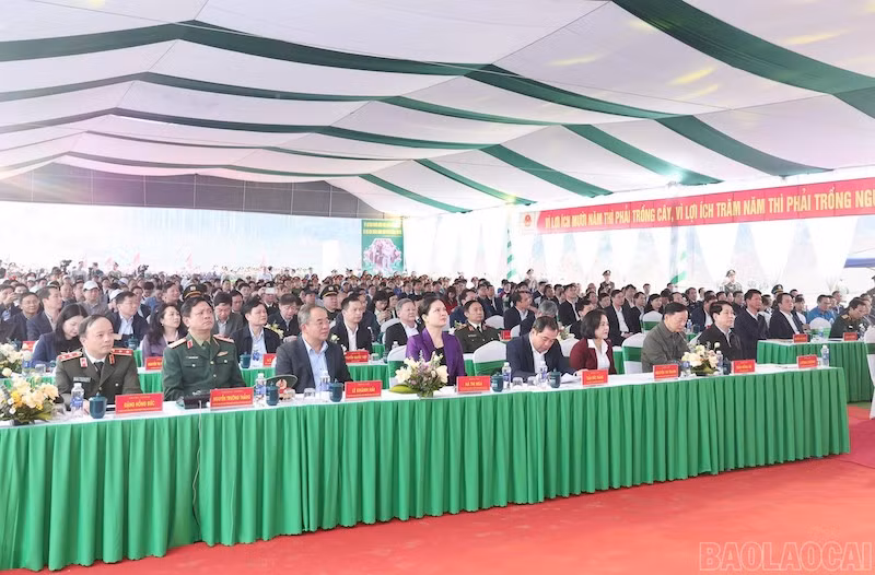 Chủ tịch nước Lương Cường dự và phát động “Tết trồng cây đời đời nhớ ơn Bác Hồ xuân Bính Ngọ năm 2026” tại tỉnh Lào Cai -0