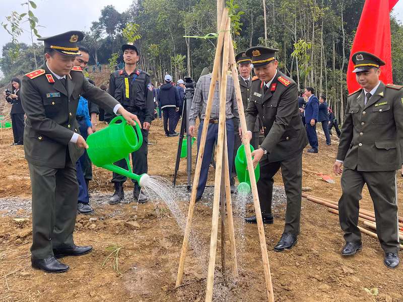 Chủ tịch nước Lương Cường dự và phát động “Tết trồng cây đời đời nhớ ơn Bác Hồ xuân Bính Ngọ năm 2026” tại tỉnh Lào Cai -1